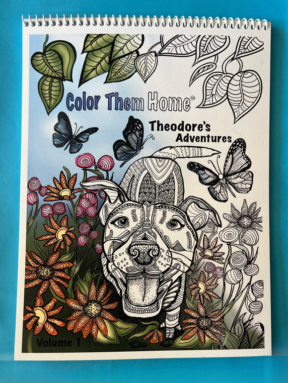 Five Pack 'Color Them Home' Coloring Book