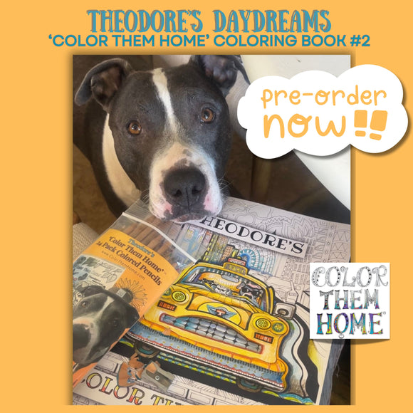 PRE-ORDER 2 Pack 'Theodore's Daydreams' Coloring Book #2