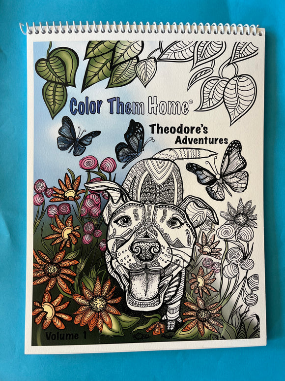 2 Pack Theodore’s Adventures Adult Coloring Book